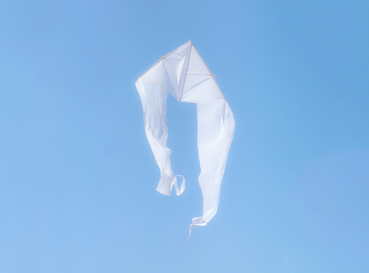 DetroitKiteFestival.DanielRibar